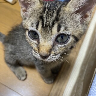 ありがとうございました