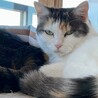 【永年預かり制度対象】仲良し！ラブラブカップルペア
