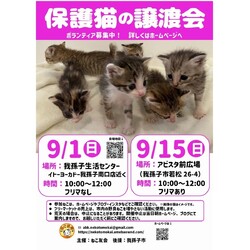 保護猫譲渡会　in我孫子