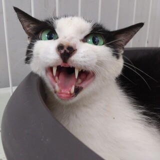 お迎え有難うございました☆