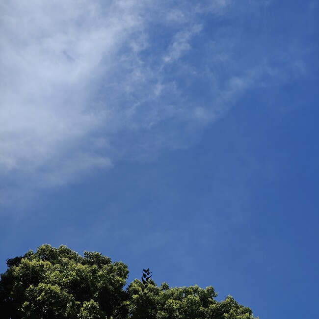 clstのカバー写真