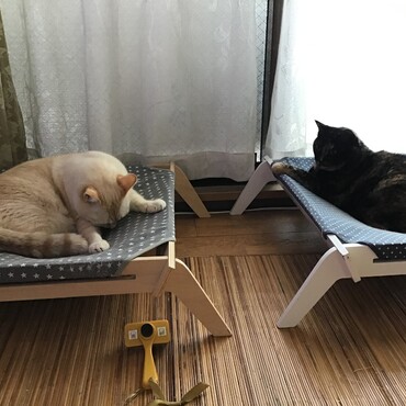 台風大丈夫だったよ、でもあちこち大変みたい・・みんな、ありがとうね！
