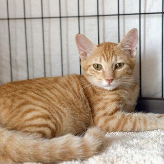 9/22稲毛海岸ෆ⃛シャイボーイෆ⃛にゅうくん