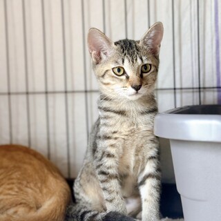 9/22稲毛海岸ෆ⃛兄妹一緒にෆ⃛るうちゃん