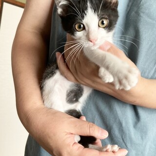 アイラインばっちりイケメンボーイ約2ヶ月