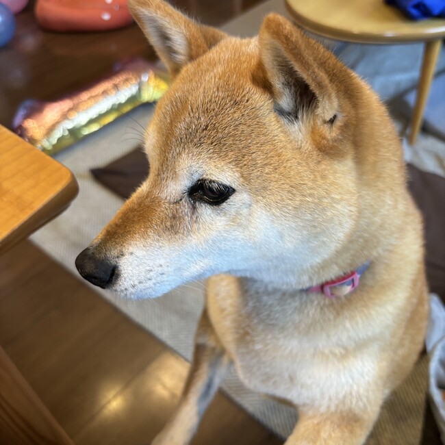 ひとみのカバー写真