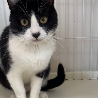 丸顔がかわいい・青空くん