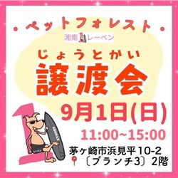 ペットフォレスト譲渡会