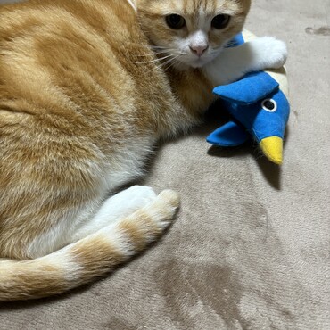 の写真
