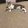 湯っくん