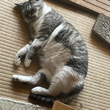 の写真