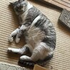 の写真