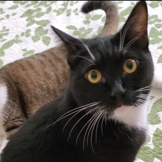 ビビりくんでおとなしい男の子★勇男(イサオ)くん