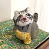 carigurashi_cat