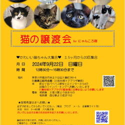 9月22日　猫の譲渡会　by にゃんころ隊