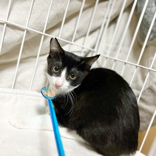 元気なててくん5ヶ月