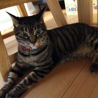 のんびり過ごすことが好きな女の子♡ミズチちゃん