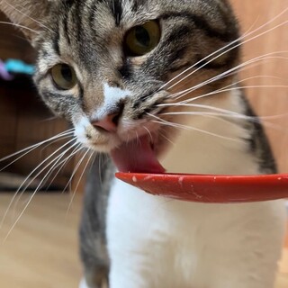 頑張り屋・しっかり者の青海ちゃん