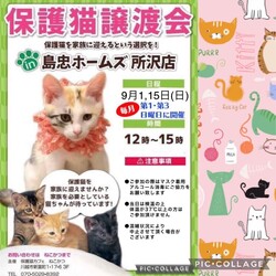 9月1日（日）島忠ホームズ所沢店譲渡会！