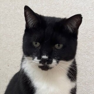 黒マスクのイケおじ・ナポレオンくん