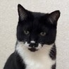 黒マスクのイケおじ・ナポレオンくん