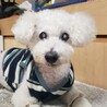 瑛ちゃん基金