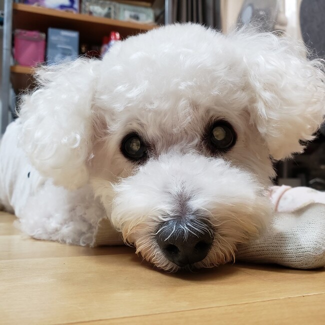 瑛ちゃん基金のカバー写真
