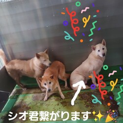 「2024.08.23-02」サムネイル1