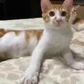 仲良し３兄弟☆キイくん