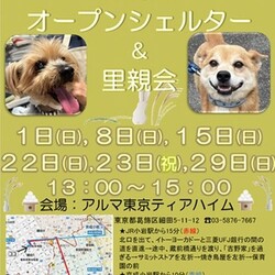 ティアハイムオープンシェルター里親会