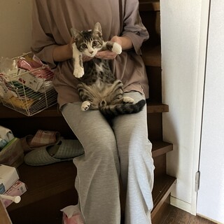 キジしろ3ヶ月です