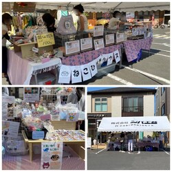 子猫～シニア猫　埼玉県八潮市　㈱シバ工芸店舗前(TX線八潮駅から徒歩２分) サムネイル2