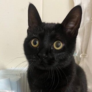 ハンデも何のその・お目目クリクリ可愛い王騎くん