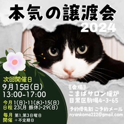 本気の譲渡会