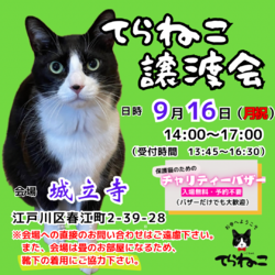 【第4回】てらねこ譲渡会