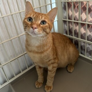 【12/8芝浦】人間みんなすき！尊すぎる甘えんぼ