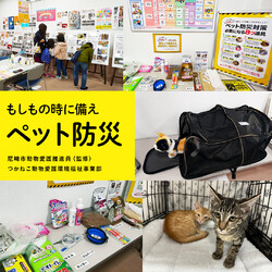 猫結びマルシェinなんば サムネイル2
