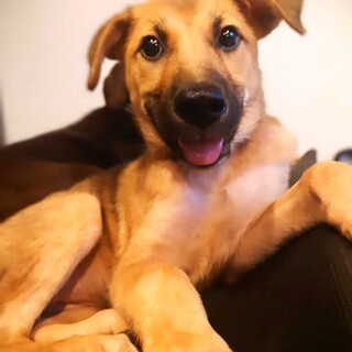 猫や子どもにも配慮ができる、将来有望な女の子