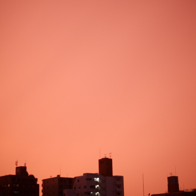 ankotamaのカバー写真