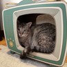 あざとい