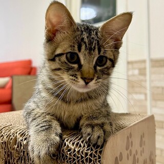 めめちゃん・・ありがとうございました。