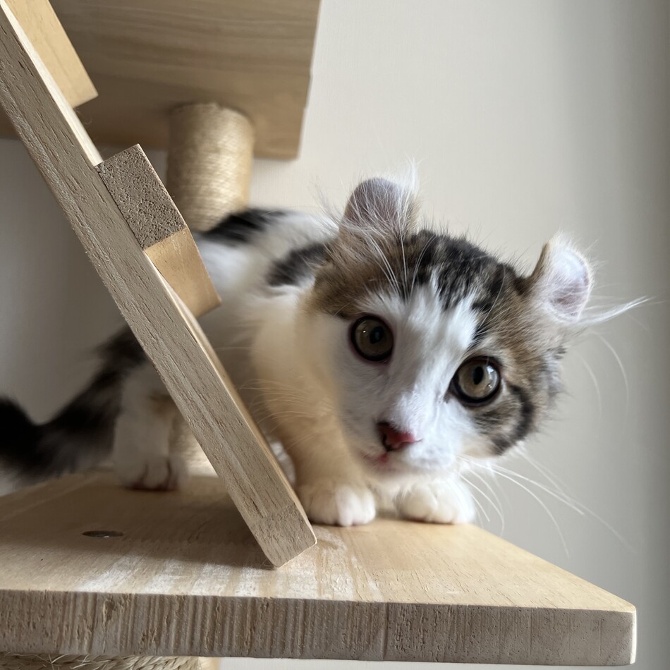 うあのカバー写真