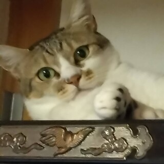 これからは穏やかなママシャンの幸せを♡