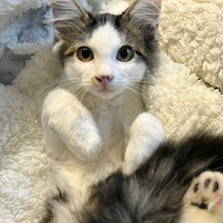 ♡穏やかな男の子♡しまだくん