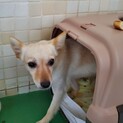 ネグレクトで幸せを知らない子が怯えながら待ってます