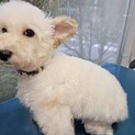 とても穏やかでもの静さな　みかちゃん