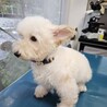 とても穏やかでもの静さな　みかちゃん サムネイル2