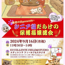 9/16（月・祝）シニア猫だらけの保護猫譲渡会