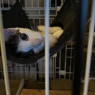 ずっとのご家族が決まりました