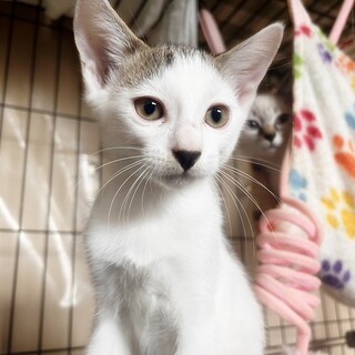 甘え方覚えてきました★雅之